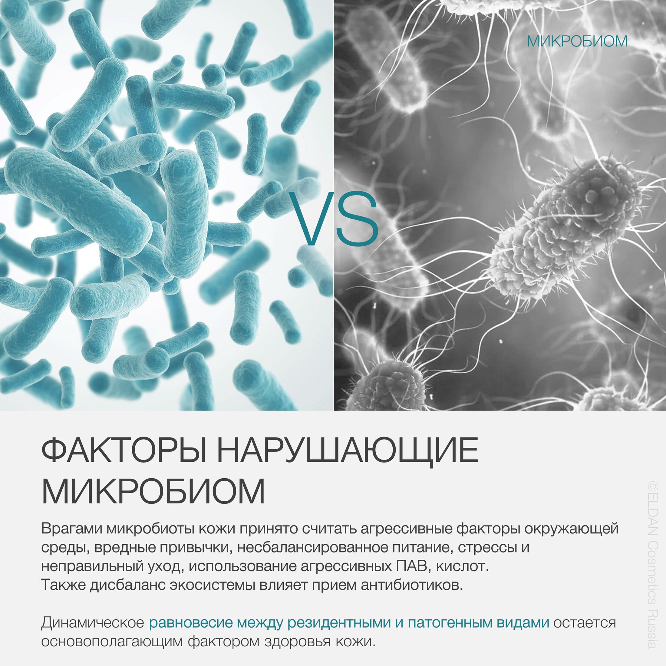 Пост микробиом 24 3.jpg Пост микробиом 24 3.jpg